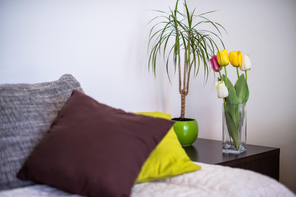 Apartment Dominik โปดสตรานา ภายนอก รูปภาพ